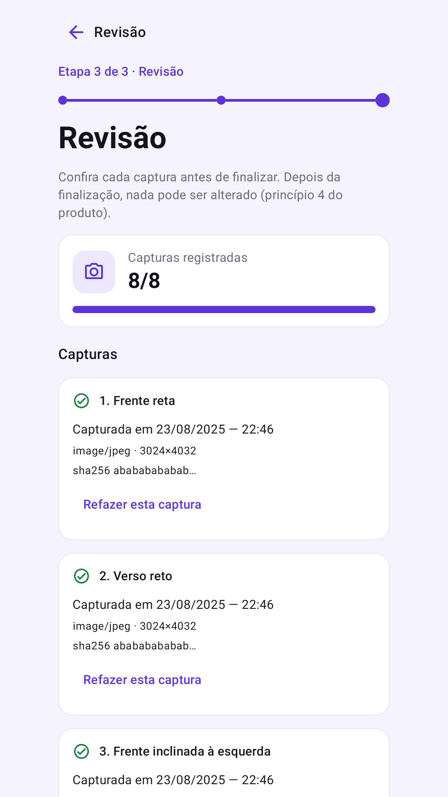 Tela de revisão mostrando 8 de 8 capturas registradas, cada uma com data, formato e hash